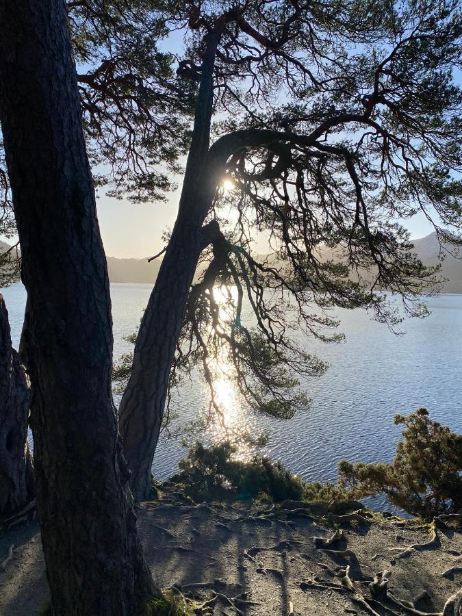 Serenity Holiday Home Not For Use By Contractors Penrith Eksteriør bilde